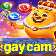 gaycam