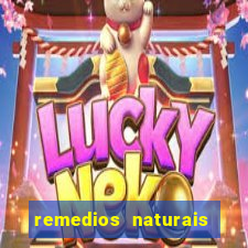 remedios naturais para diabetes