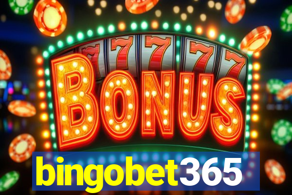 bingobet365