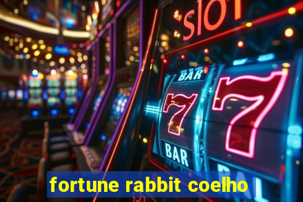 fortune rabbit coelho