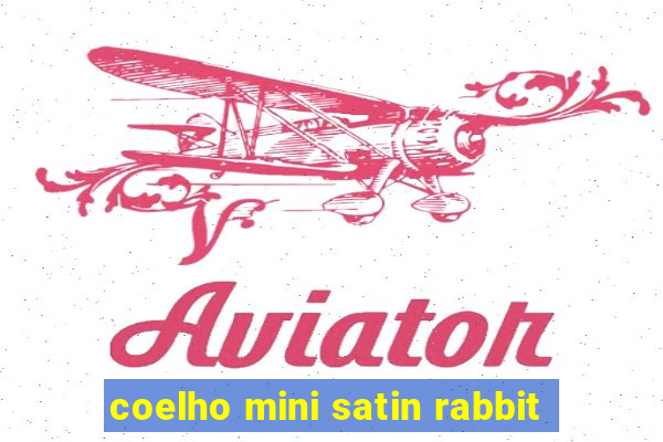 coelho mini satin rabbit