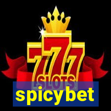 spicybet-4.com