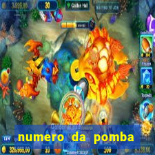 numero da pomba jogo do bicho