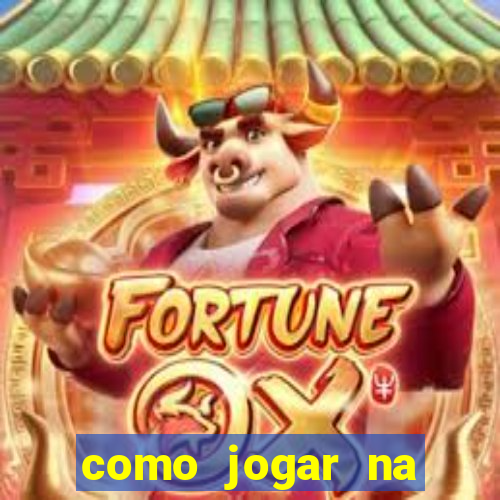 como jogar na teimosinha da lotofacil