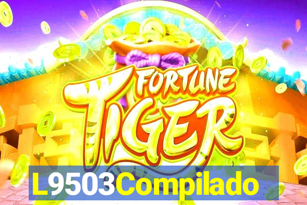 L9503Compilado