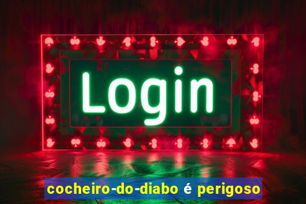 cocheiro-do-diabo é perigoso