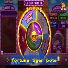 fortune tiger pote de ouro completo